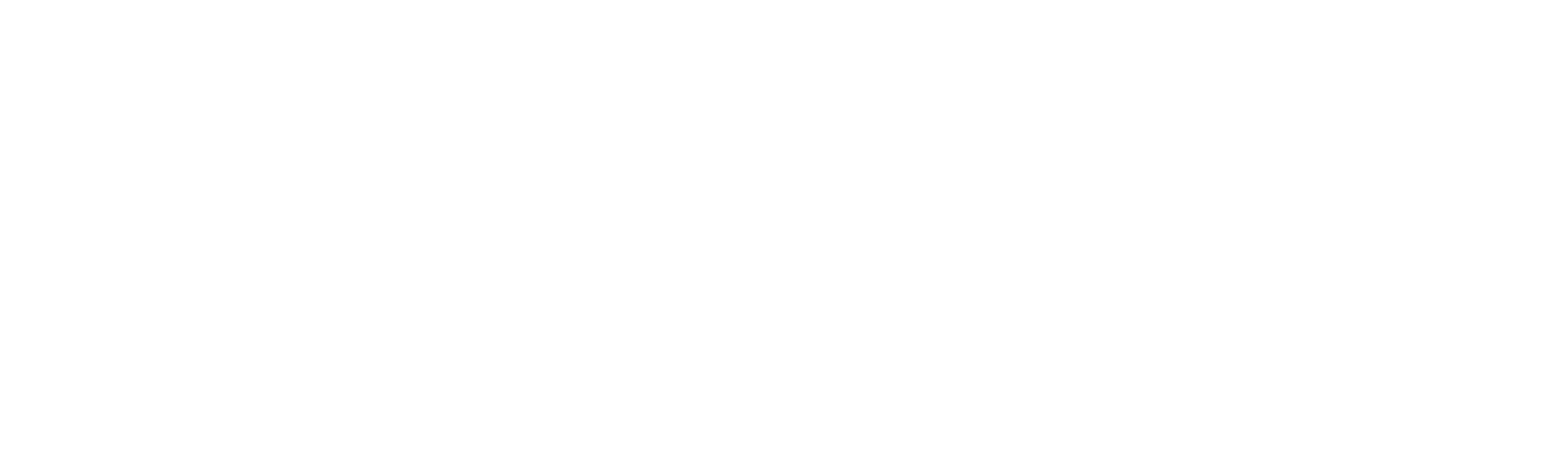 The Social Collective Logo